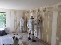 Why You Should Choose Our Mold Remediation Services in Sherman, TX